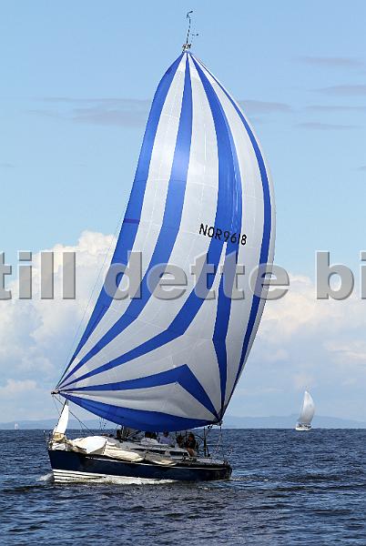 ORCi2 435.jpg
